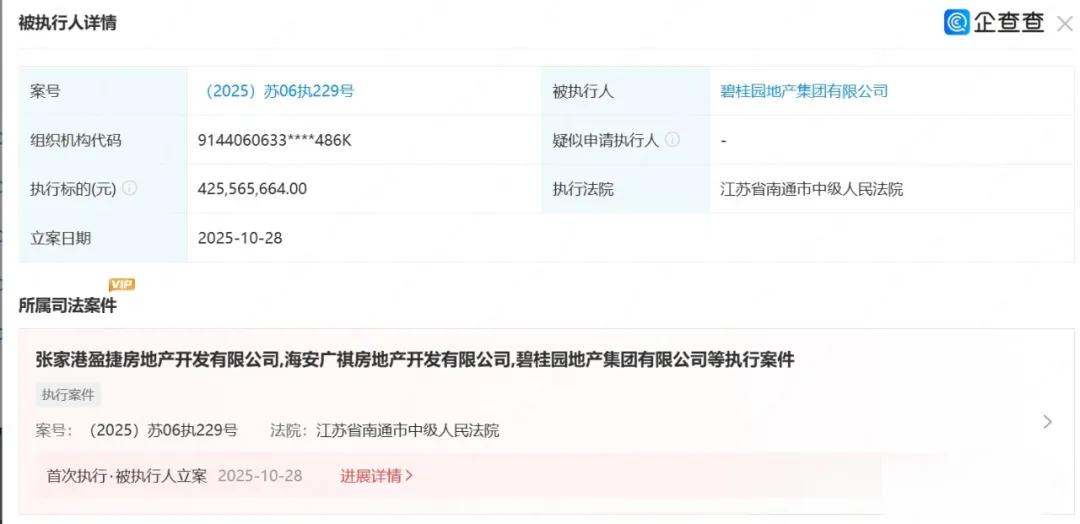 房产巨头，被执行4.2亿元
