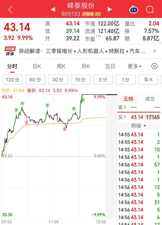 4倍大牛股，“20CM”涨停