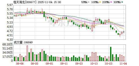 恒天海龙：公司无逾期担保