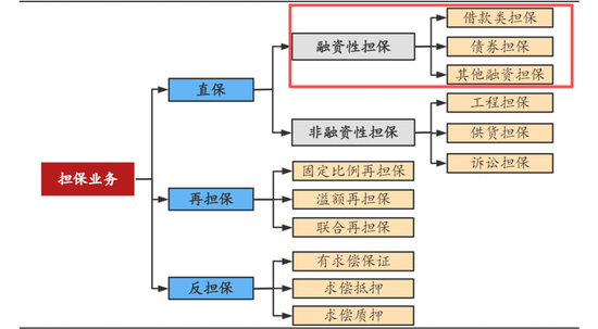 助贷担保乱象调查：年化超2000%“高炮”再现，双担保犹在