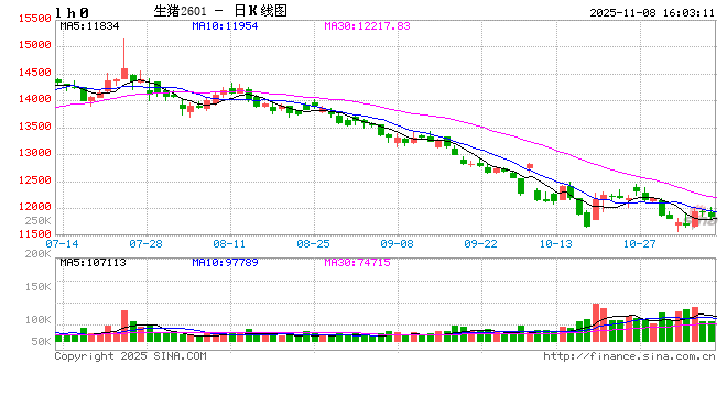 生猪价格跌破12元/公斤，三大猪企10月增产不增收