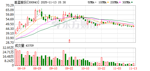 胜蓝股份：公司不存在逾期担保