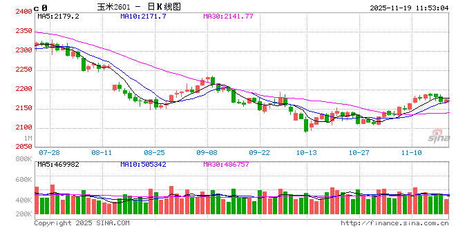 “玉”见未来：新粮上市期，东北玉米价格缘何上涨？