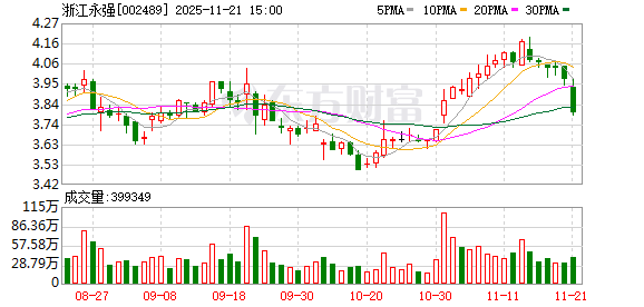 浙江永强：补选董事