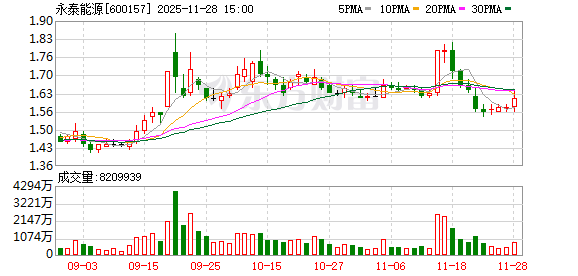 涉嫌信披违法违规,永泰能源实控人王广西遭立案