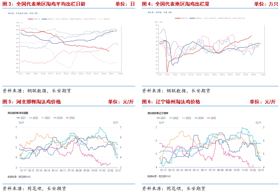 长安期货梁安迪:产能去化缓慢 短期供应压力或仍施压鸡蛋盘面