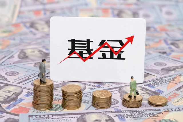 基金净值高低代表什么意思?-313啦实用网