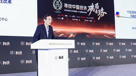 刘世锦:建议“十五五”时期将“两个十万亿”国有权益资本划拨社保基金并进入资本市场运作-313啦实用网