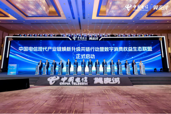 链动未来,智绘生态!2025中国电信现代产业链焕新升级共链大会成功举办-313啦实用网