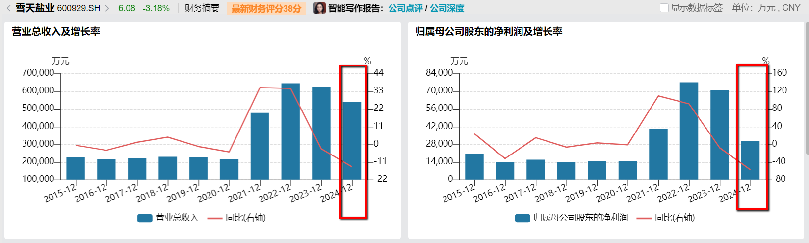 财说|2.61亿元值吗?雪天盐业跨界收购新能源企业-313啦实用网