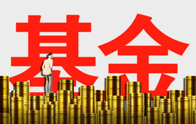 基金净值和基金规模有关吗?-313啦实用网