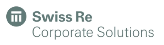 “将帅”齐换!收购十年待整体扭亏,新班子下瑞再企商如何破局?-313啦实用网