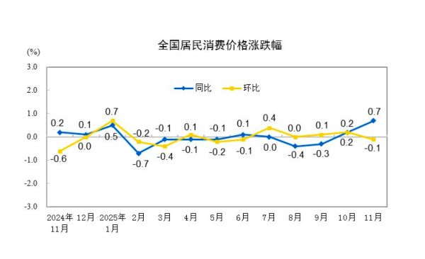11月CPI同比升至20个月新高,发生了什么-313啦实用网