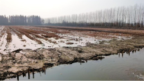 “不干就输了”，退伍老兵虾田创业，借力分期乐普惠盘活四百亩小龙虾-313啦实用网