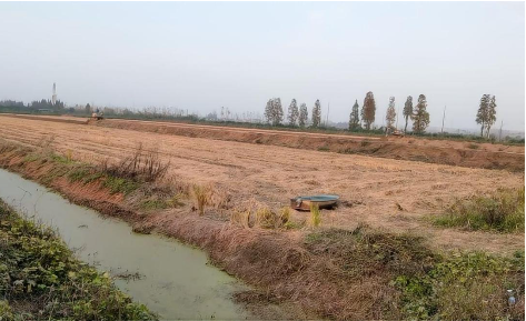 “不干就输了”，退伍老兵虾田创业，借力分期乐普惠盘活四百亩小龙虾