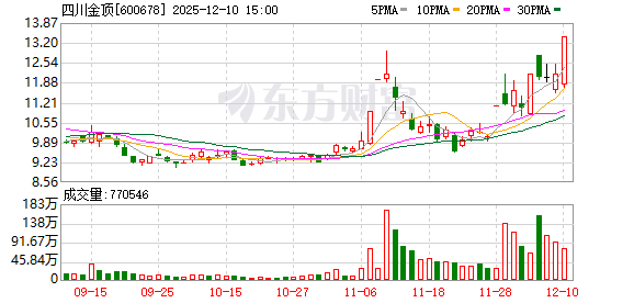 四川金顶12月10日龙虎榜数据-313啦实用网