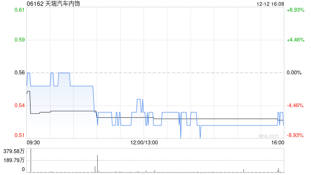 天瑞汽车内饰委任天健德扬为新核数师-313啦实用网