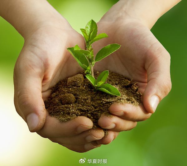 上海150亿元超级LP再出手,投向AI等未来产业-313啦实用网