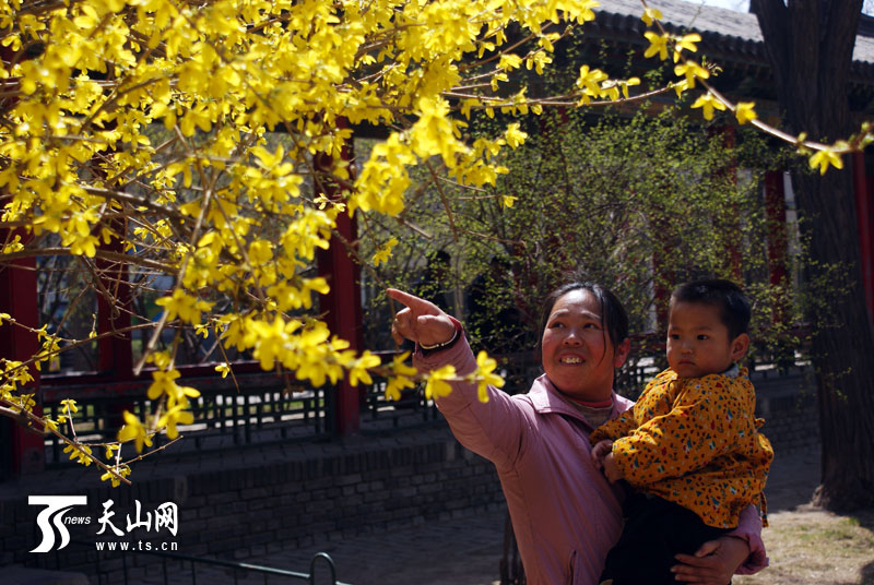 家庭资金如何合理规划流动?-313啦实用网