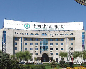 银行如何服务中小企业融资?-313啦实用网