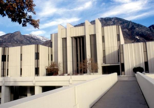 长期投资与短期交易哪种更适合新手?-313啦实用网