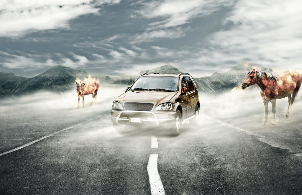 汽车市场燃油车与新能源车如何共存?-313啦实用网