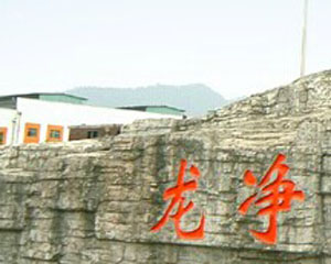 汽车环保排放标准对使用影响？-313啦实用网