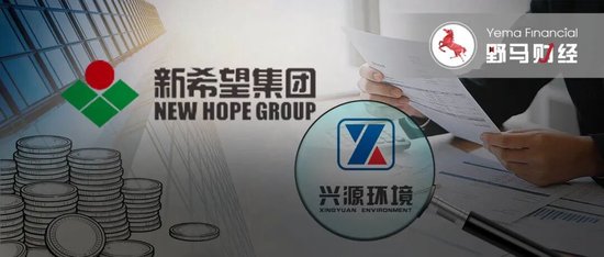 14.5亿借款再展期,新希望败走兴源环境