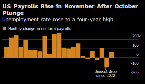 美国上月失业率升至四年高点 10月非农就业人数降幅创五年来最大-313啦实用网