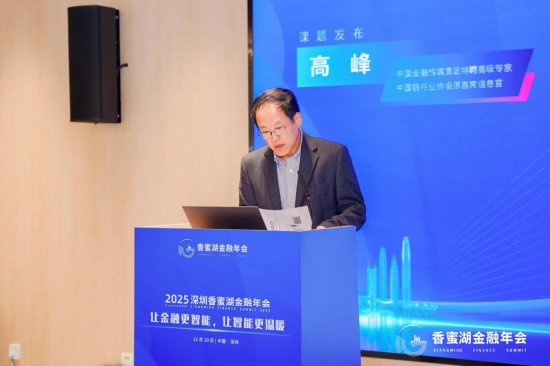 高峰：解析智能金融双轨架构与治理路径，提出数据、技术、安全三维协同破解大模型“幻觉”难题-313啦实用网