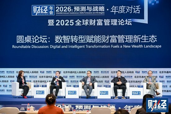 杨涛：财富管理是普惠金融的首要突破方向-313啦实用网