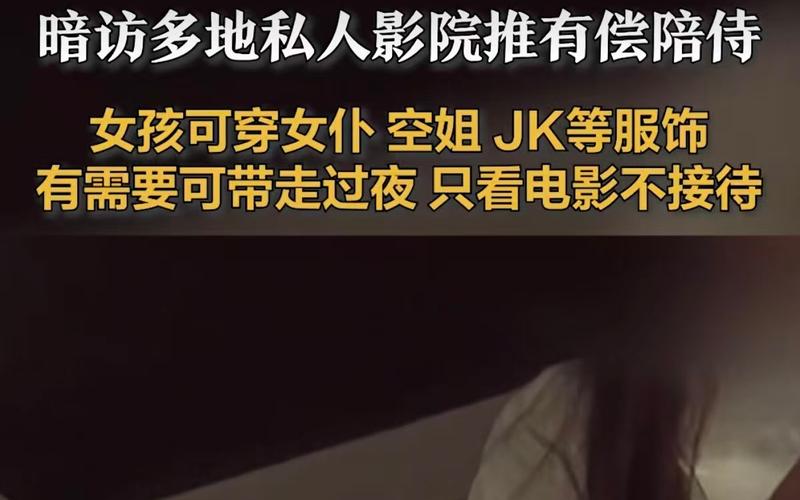 私人影院强推异性陪侍套餐，在违法边缘疯狂试探-313啦实用网