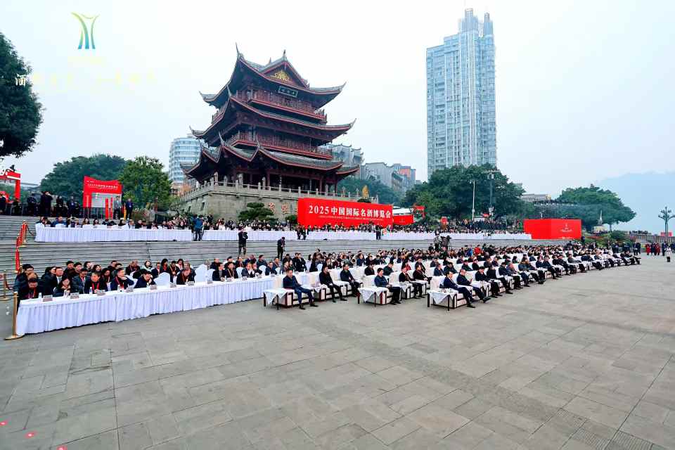 以酒旅融合助力行业和美发展 五粮液亮相2025中国国际名酒博览会-313啦实用网