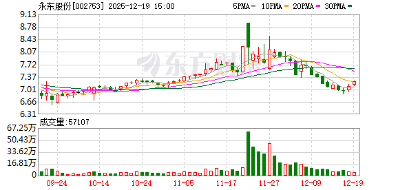 永东股份：调整“永东转2”转股价格-313啦实用网