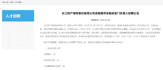 长江财险公开招聘总精算师-313啦实用网