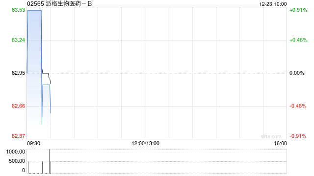 派格生物医药-B完成发行合共513.6万股配售股份-313啦实用网