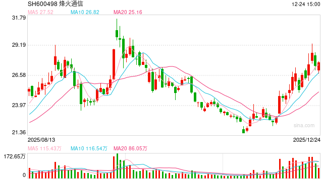 烽火通信关联方低价包揽11亿定增有息负债仍在攀升 营收下滑政府补贴上升远超净利|CPO融资潮-313啦实用网