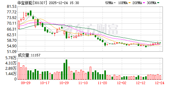 华宝新能：2026年1月12日召开2026年第一次临时股东会-313啦实用网