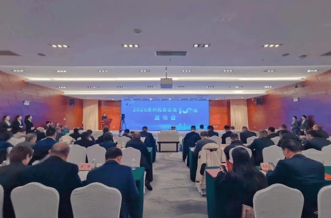 实力蝉联！益佰制药再度跻身贵州民营 企业100强-313啦实用网