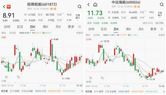 运价罕见单日暴跌20%，油轮龙头股价逆势上涨-313啦实用网