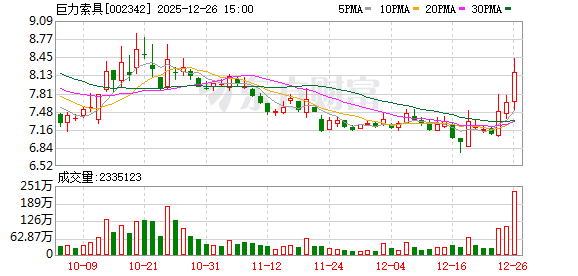巨力索具：审议通过《关于前期会计差错更正及追溯调整的议案》等-313啦实用网