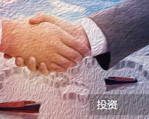 金条金币投资需注意哪些要点?-313啦实用网