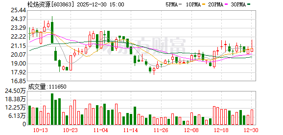 松炀资源拟1元转让彩票业务公司：去年开了两家彩票店 亏损151万元-313啦实用网