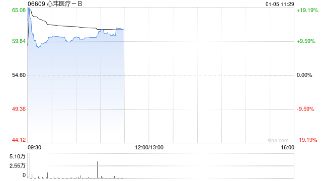 心玮医疗-B盘中涨超11% 目前公司已经启动A股IPO计划-313啦实用网
