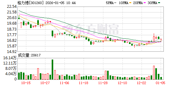 格力博:公司 IPO 募投项目已详细披露,无任何项目涉及人形机器人相关投入-313啦实用网