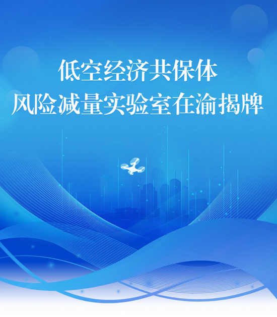 低空经济共保体风险减量实验室在渝揭牌-313啦实用网