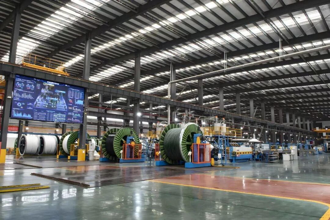 多维布局拓增长！球冠电缆总经理陈永直：剑指“再造一个球冠”