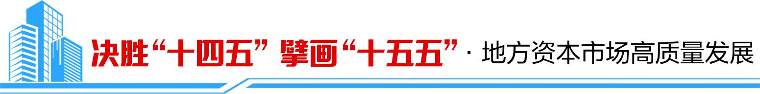 决胜“十四五” 擘画“十五五”・地方资本市场高质量发展之西藏篇： 雪域高原资本川流 特色产业“格桑花”竞相怒放-313啦实用网