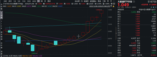 冲击10连阳！大数据ETF华宝（516700）盘中拉升1.9%！宝信软件等3股涨停！机构：数据中心建设或迎需求反弹-313啦实用网