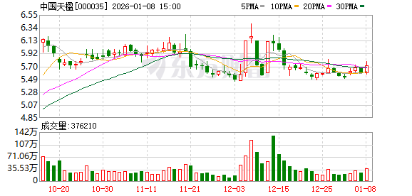 中国天楹：公司将继续深化“环保+新能源”双轮驱动的发展路径-313啦实用网